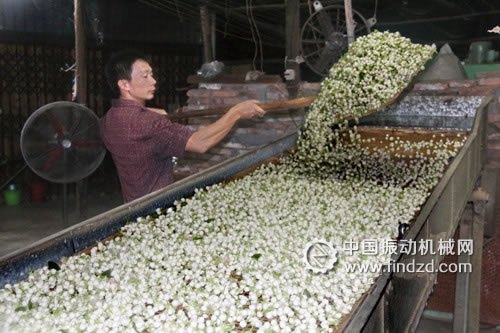 茉莉花茶直线振动筛