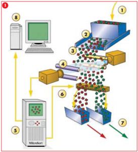 Mogensen筛选系统的结构和操作性