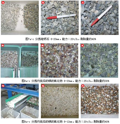 Mogensen筛选系统