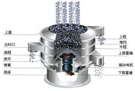 旋振筛结构分析图